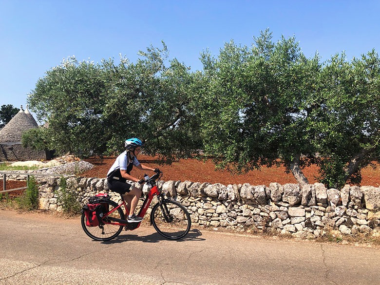 olive-bike-trip-in-southern-italy